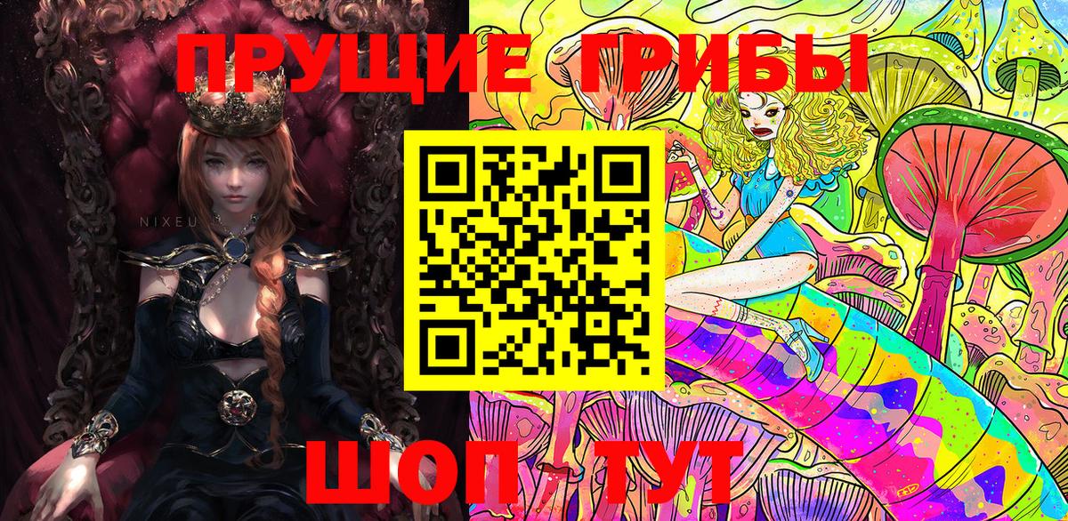 Псилоцибиновые грибы Psilocybe Кашира